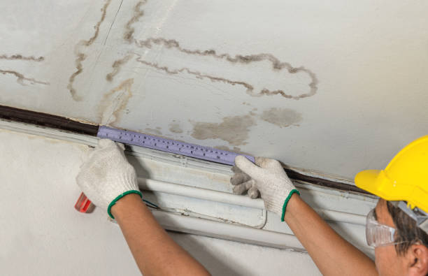 Reliable Water Damage contractor in El Dorado Hills, CA by Water Damage Irwin